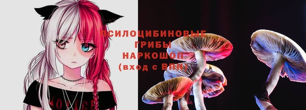 шишки Покачи
