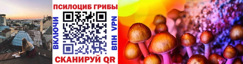 Псилоцибиновые грибы мухоморы Камызяк